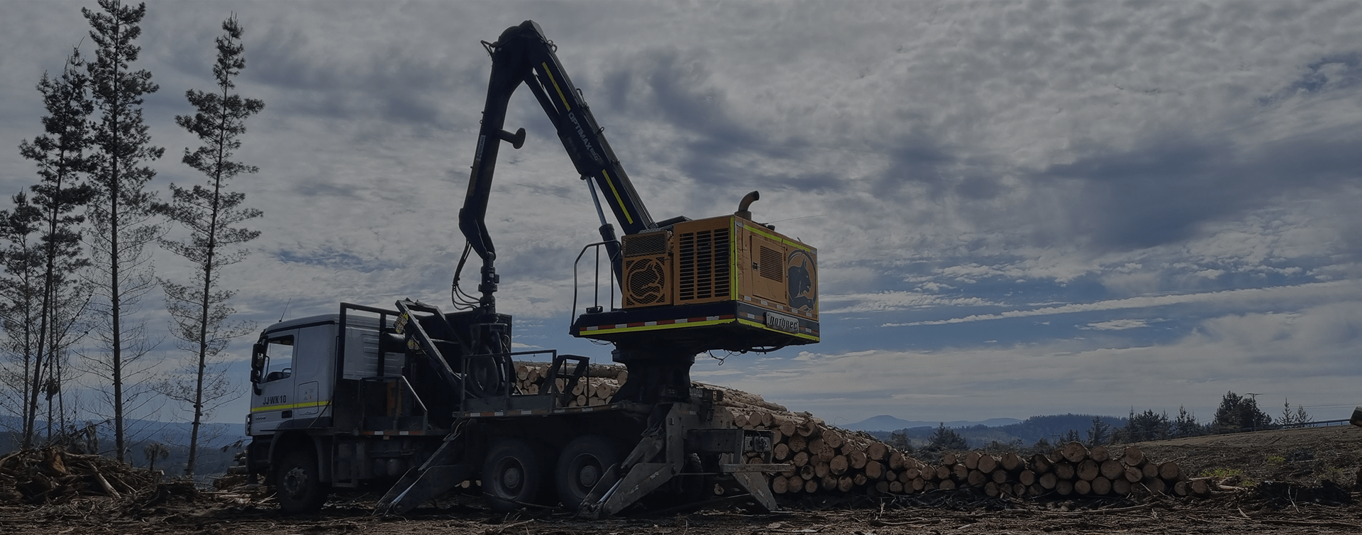 Logo Forestales - Empresa especializada en productos forestales